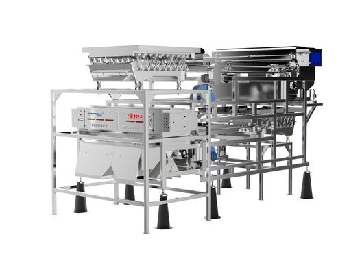 качество  Customized Fruit Sorting Machine Belt Type 1.0-1.5T/H Blueberry Color Sorter завод