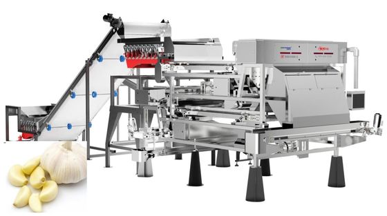 качество  Precise Removal Garlic Color Sorter Processing Equipment Belt Type 1.0-1.5 t/h завод