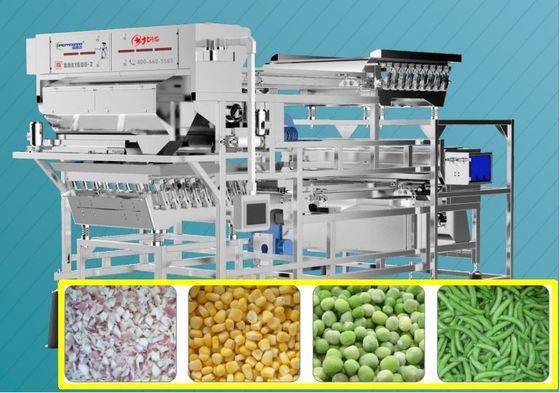 Precise Target Frozen Onion / Green Bean Sorting Machine 1.5-2.0 T/H